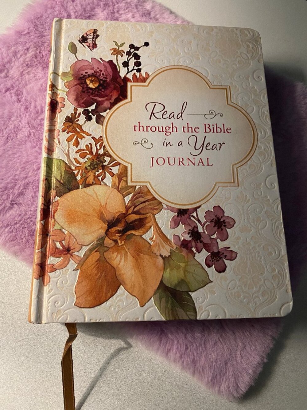 Read Through The Bible In A Year Journal